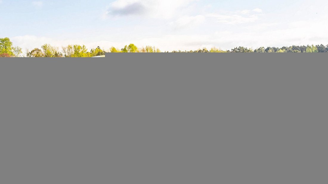 Tesla Model 3 Standard Range Plus (2019-2021) side profile, silhouette, doors, wheels, exterior