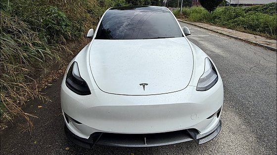 Video: Tesla Model Y Performance Track Mode Drive Gone Wrong