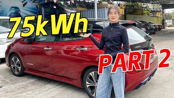 Video: VIVNE-Nissan Leaf 75kWh battery pack(Part 2)