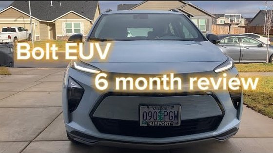 Video: Bolt EUV 6 month review!