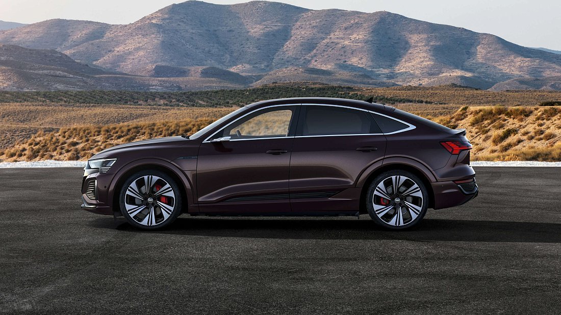 Audi Q8 Sportback e-tron 55 quattro (2022-…) side profile, silhouette, doors, wheels, exterior