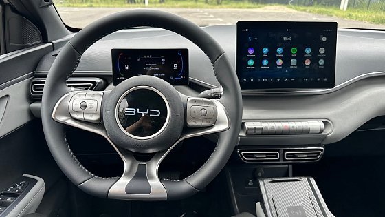 Video: BYD Dolphin Surf 2025 Multimedia System Review