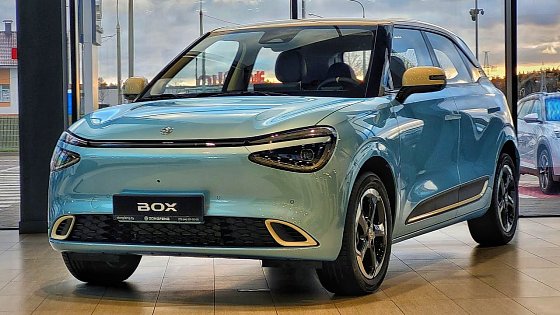 Video: 2024 Dongfeng Box / Dongfeng Nammi - Visual Review