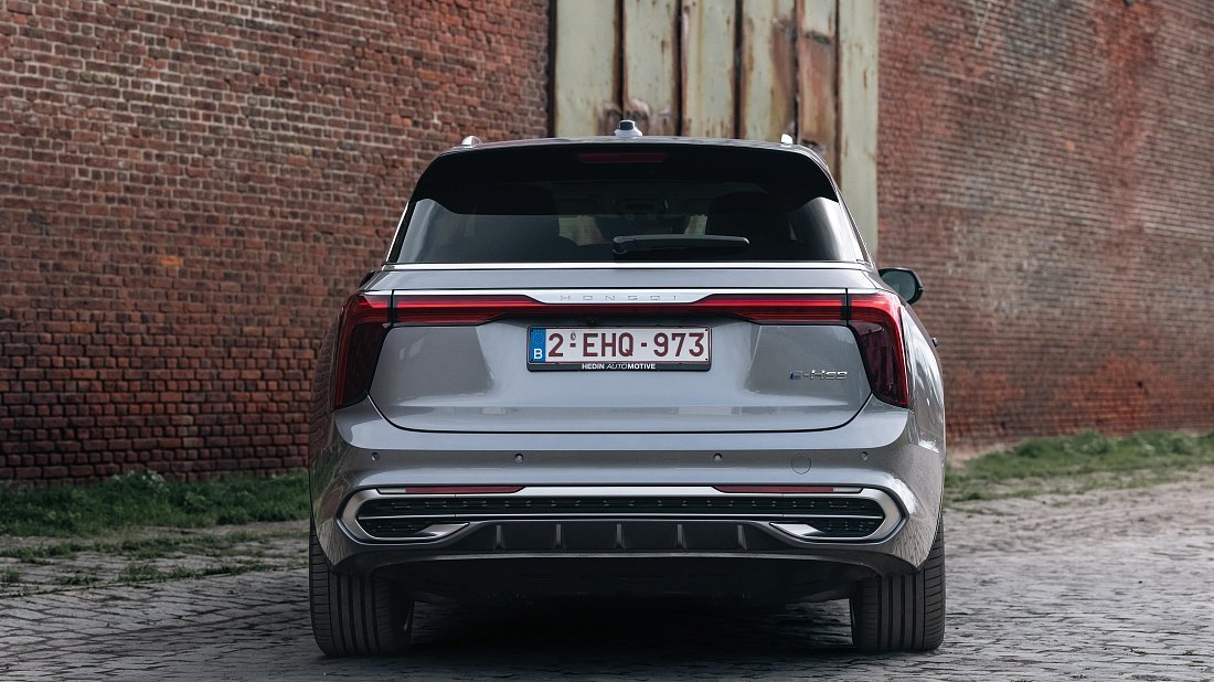 Hongqi E-HS9 99 kWh (2022-...) rear view, taillights, trunk, spoiler, badge, bumper, exterior