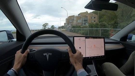 Video: Tesla Model 3 Dual Motor Long Range - POV Review [4K]