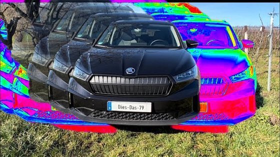 Video: Kurzportrait Basis Skoda Enyaq IV 50 alias Black Mamba