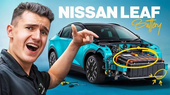 Video: Do NOT Replace Your Nissan LEAF Battery Until You Watch This